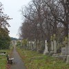 Brompton Cemetery.