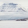 Nordenskiöldbreen ja paljon hylkeitä...