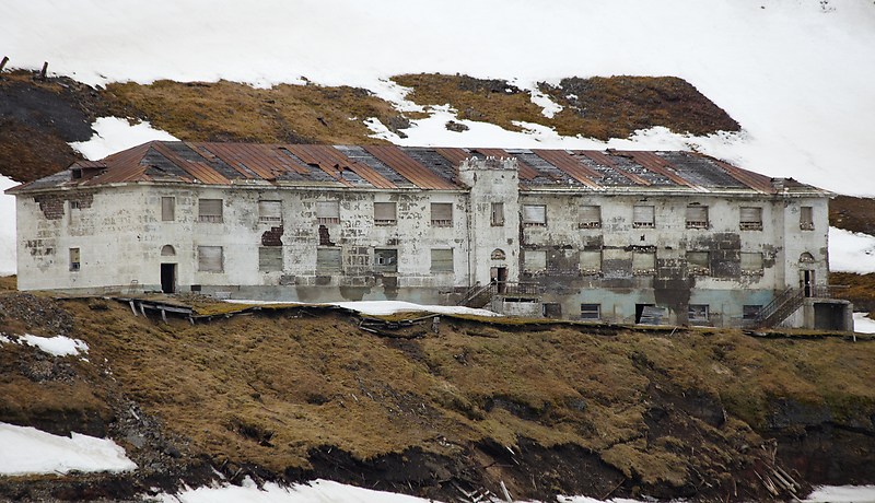Linnut olivat vallanneet vanhan kaivoksen, Grumantbyenin, talot.