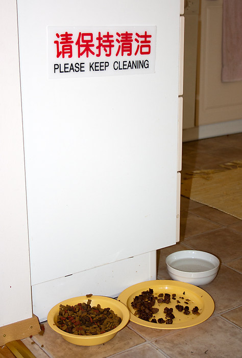 Please keep cleaning.